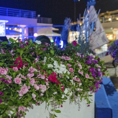  DSC8068 1